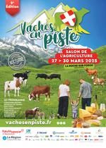 Vaches en piste